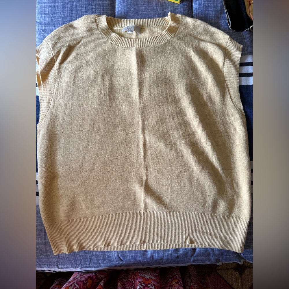 LOFT Sleeveless Sweater